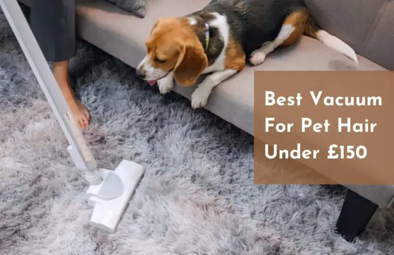 Best Vacuum For Pet Hair Under £150, According to testing
