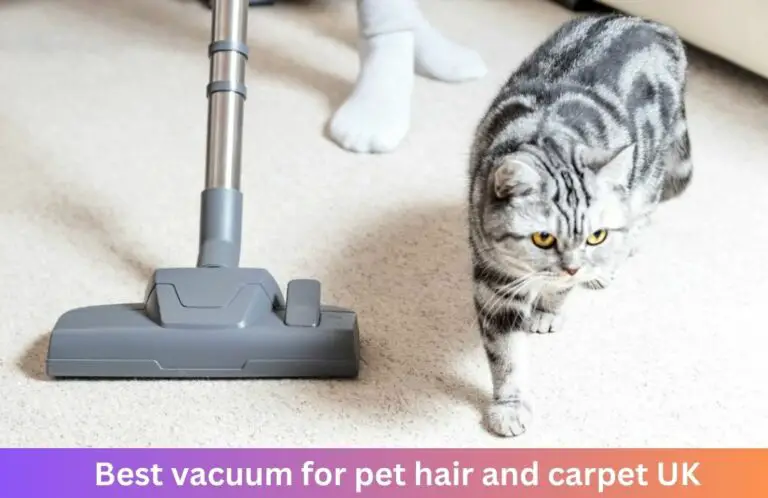 Best Vacuum Cleaner For Pet Hair On Carpets UK
